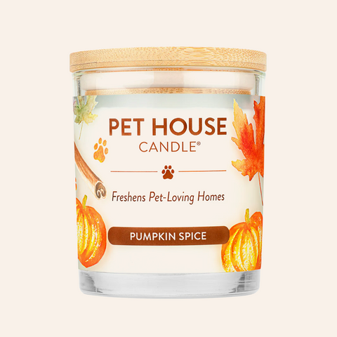 Pumpkin Spice | Pet Safe Candle