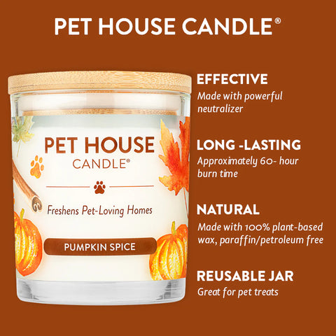 Pumpkin Spice | Pet Safe Candle