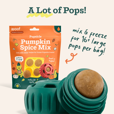 Pupsicle Treat Mix - Pumpkin Spice