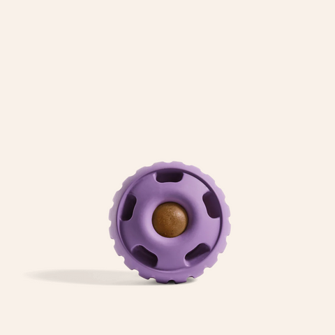 Pupsicle - Lavender