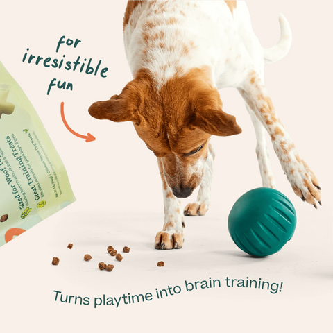 Woof Forager Puzzle Treats