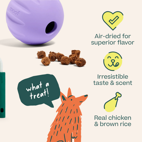 Woof Forager Puzzle Treats