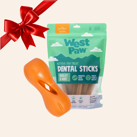 Qwizl Holiday Bundle (Large)