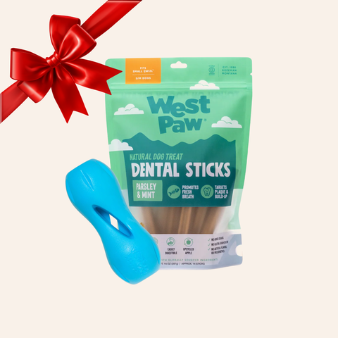 Qwizl Holiday Bundle (Small)