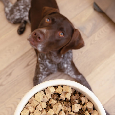West Paw Trout & Beef Rawbiotic Bites