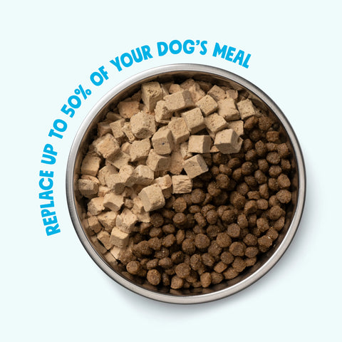 West Paw Trout & Beef Rawbiotic Bites