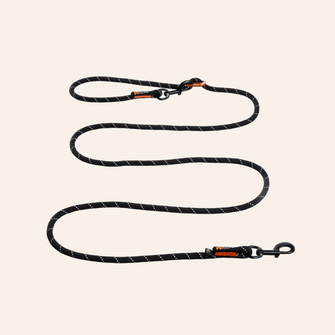 Rock Adjustable Leash