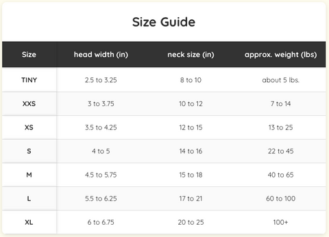 Green Corduroy Hat for Dogs