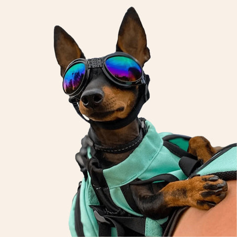 K9 Sport Shades Dog Goggles