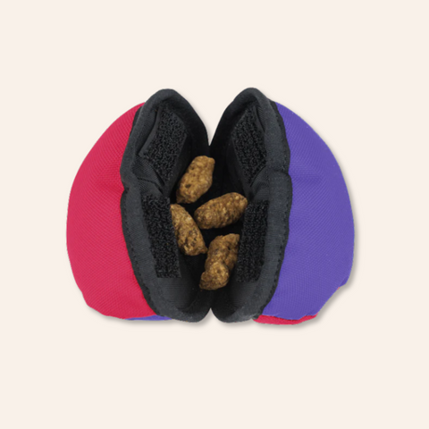 The Clam Treat Toy: Pink & Purple