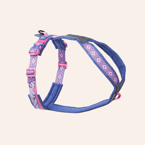 Trail Quest Harness - Purple/Pink- Rachel Pohl Edition