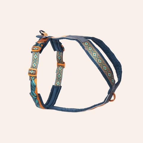 Trail Quest Harness - Teal/Oak - Rachel Pohl Edition