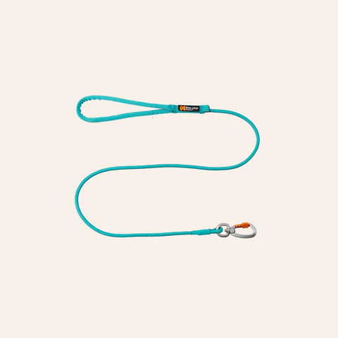 Trekking Rope Leash - Teal