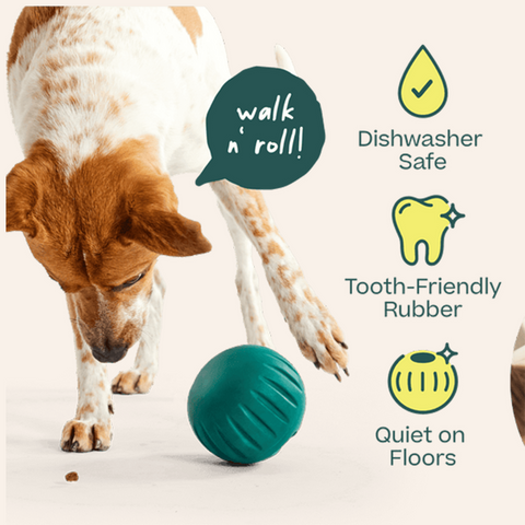 Walkabout Forager Treat Toy