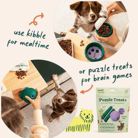 Walkabout Forager Treat Toy