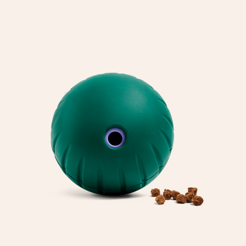 Walkabout Forager Treat Toy