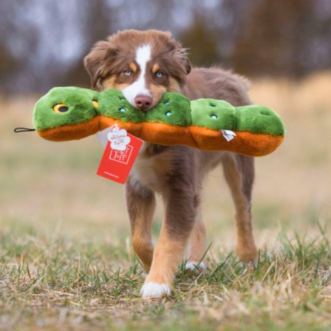 Katie Caterpillar | Fluff & Tuff Dog Toy