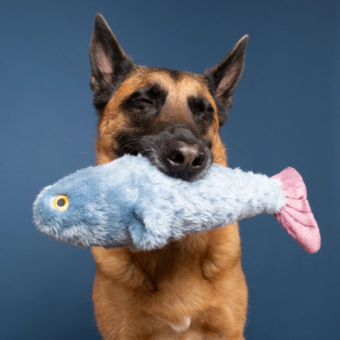 Fitz the Fish | Fluff & Tuff Dog Toy