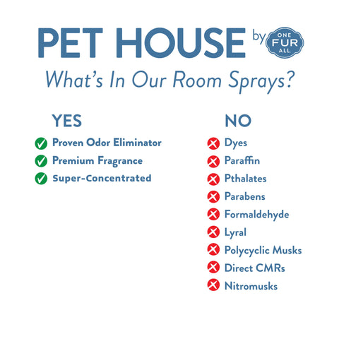 Pumpkin Spice Room Spray | Pet Safe Room Spray
