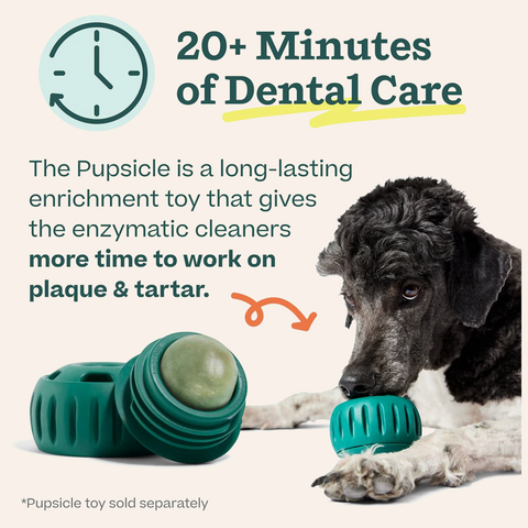 Pupsicle Dental Mix