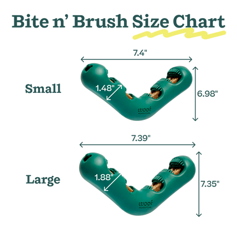 Bite N' Brush