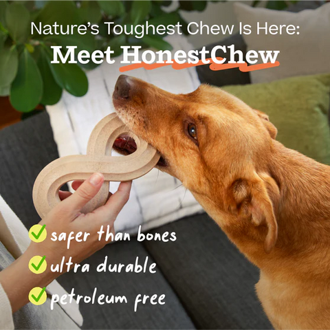 HonestChew Antler Bone