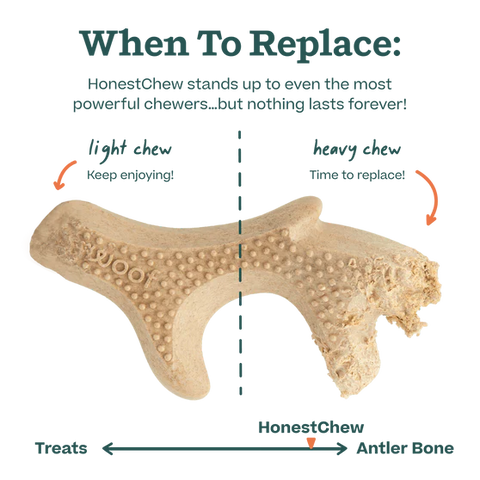 HonestChew Infinity Bone