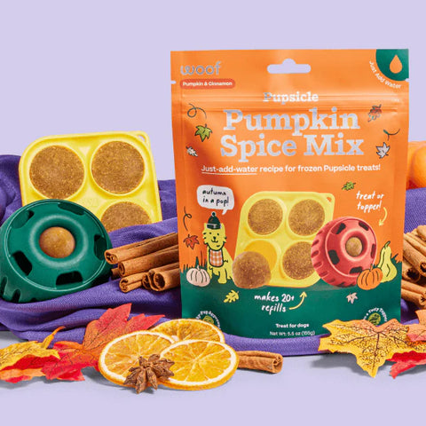 Pupsicle Treat Mix - Pumpkin Spice