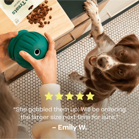 Woof Forager Puzzle Treats