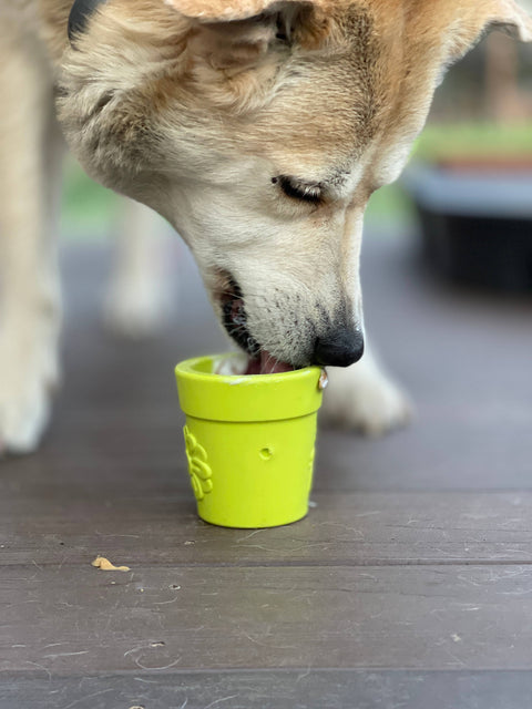 Flower Pot Durable Rubber Treat Dispenser & Enrichment