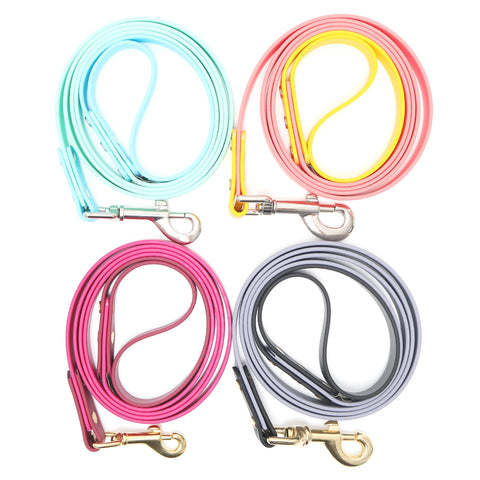 Custom Waterproof Biothane Dog Leash