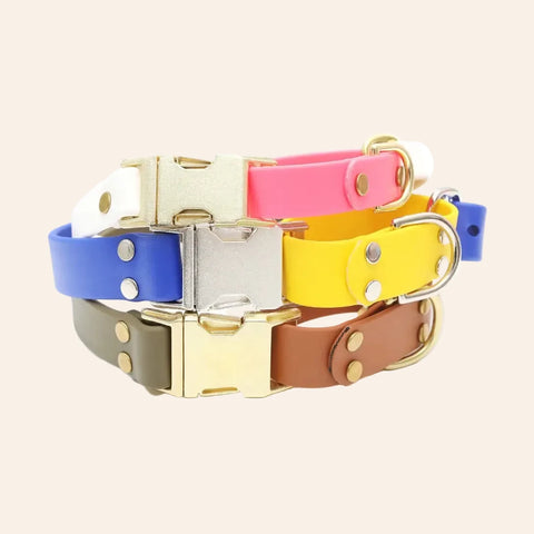 Custom Biothane Martingale Quick Release Dog Collar