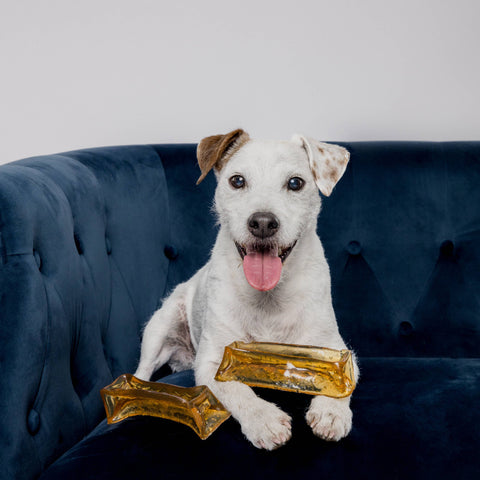 Collagen Dental Chew: Bacon