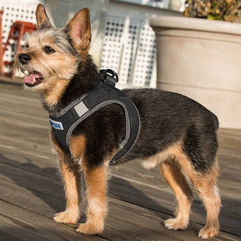 Liberty Bay Dog Harness: Covert Black