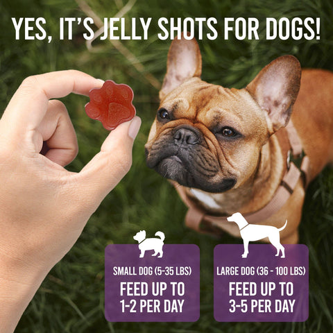 Dogtastic Jelly Shots - Cranberry Flavor