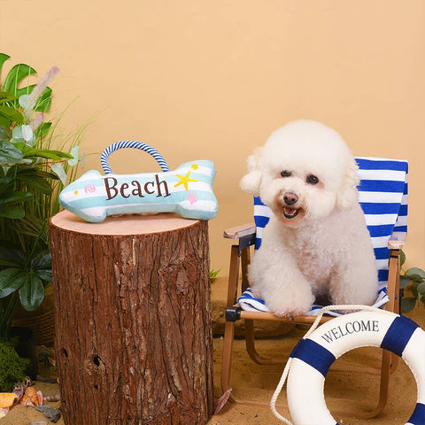 Beach Days Rope Dog Toy