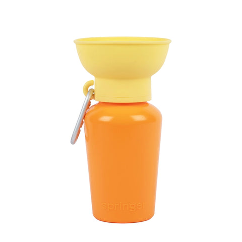 Limited Edition Springer Dog Travel Water Bottle | Flip 20 oz