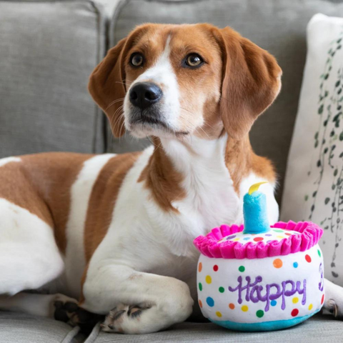 Happy Barkday Birthday Cake Toy