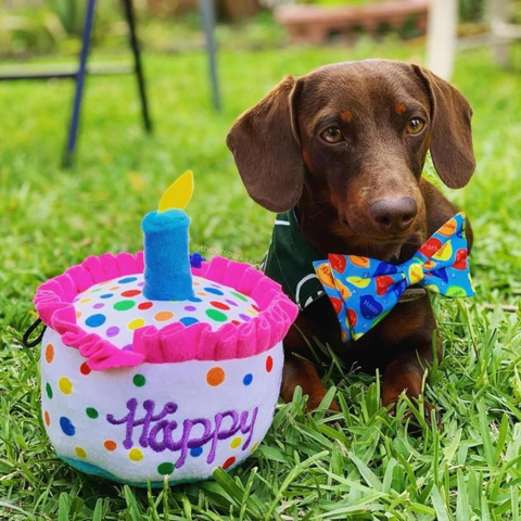 Happy Barkday Birthday Cake Toy