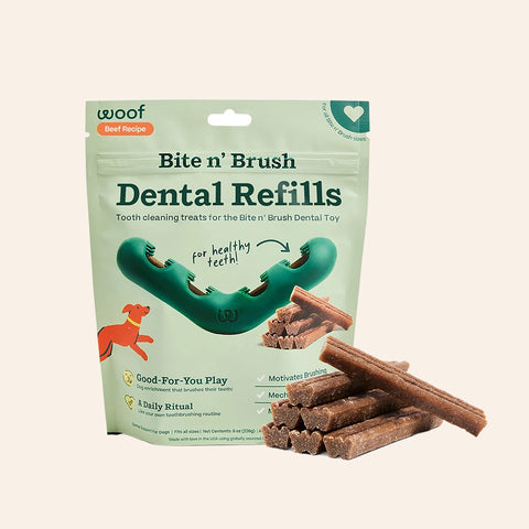 Bite N' Brush Refills - Beef Recipe