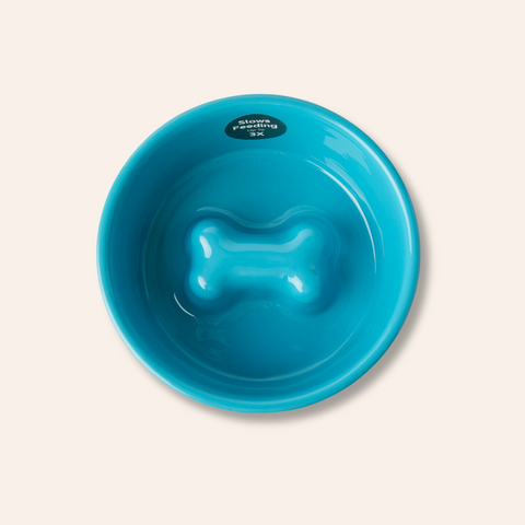 Bone Slow Feeder Bowl - Blue