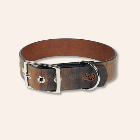 Brown Leather Dog Collar - 1.5"