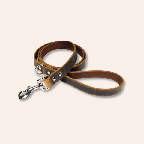 Brown Leather Dog Leash