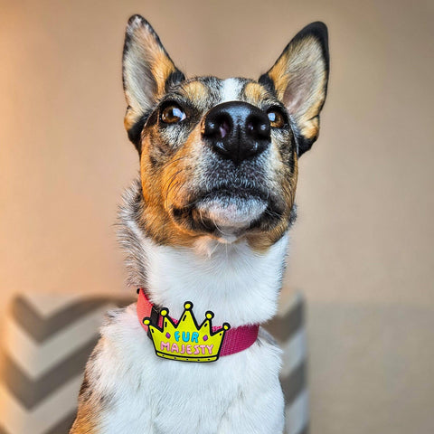 Fur Majesty Jiby Dog Charm