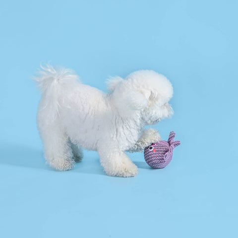 Octopus Floating 2-in-1 Dog Ball Toy