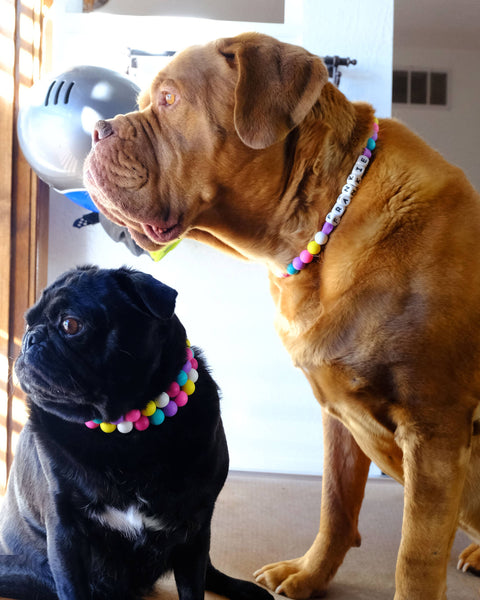 Custom Friendship Bracelet Dog Collar