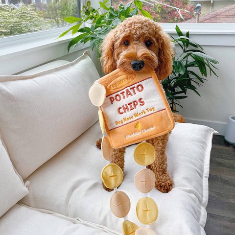 Potato Chips Interactive Snuffle Toy