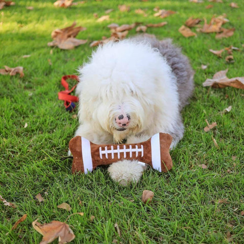 Football Bone For Dogs