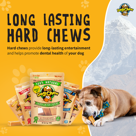 Tibetan Dog Chew for dogs under 35 lbs- Medium