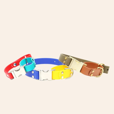 Custom Biothane Martingale Quick Release Dog Collar